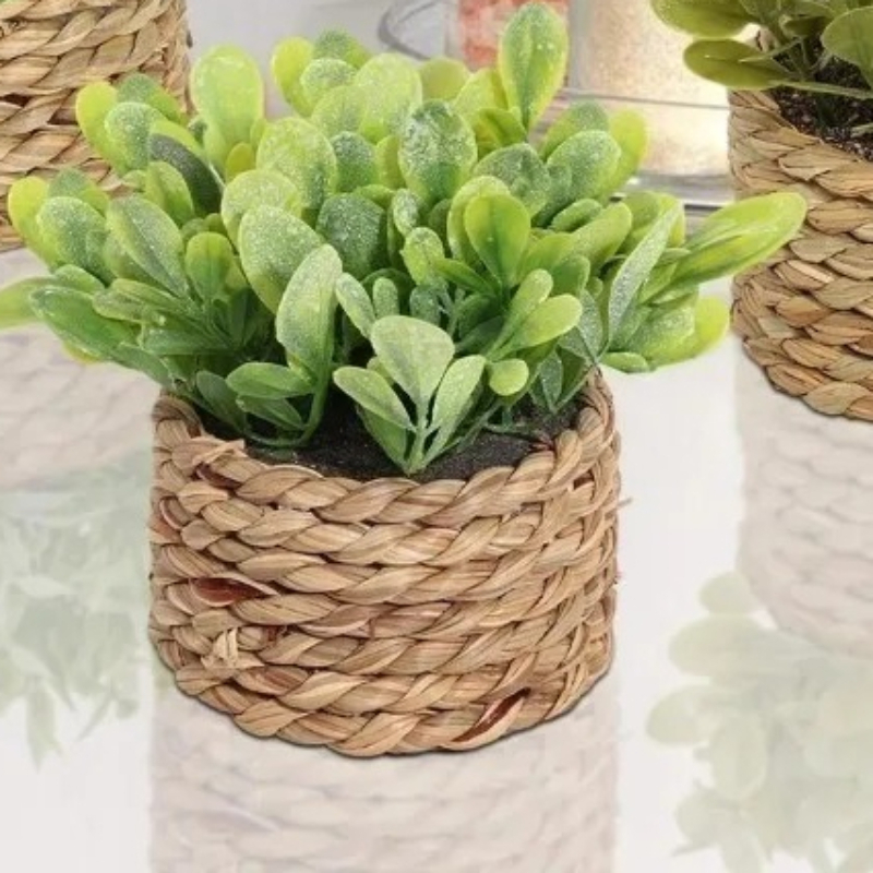 1個入り、編み込み加工の小さな人工観葉植物、ユーカリの葉、鉢 - Home Office Layout のレビューと価格